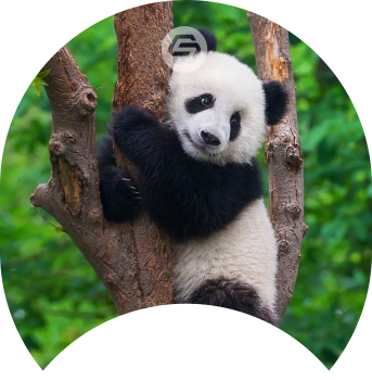 Chengdu